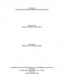 GLOSARIO DE TERMINOS SOBRE SEGURIDAD SOCIAL