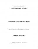 Medicion de desmpeño ---- sena