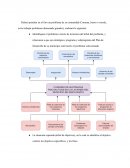 Guía de actividades y rúbrica de evaluación - Unidad 2 - Fase 3 - Cultura organizacional y funciones gerenciales