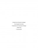 Fundamentos de la Prevención de Riesgos