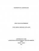 FUNDAMENTOS DE LA MICROBIOLOGIA