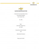 Politica Economica - Resumen