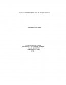MORBIMORTALIDAD DE ORIGEN LABORAL