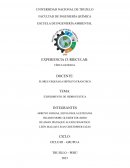 EXPERIMENTO DE HIDROSTÁTICA