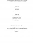 PLANEACIÓN DE MARKETING ESTRATÉGICO Y OPERATIVO PARA MEDIANAS Y PEQUEÑAS EMPRESAS EN COLOMBIA
