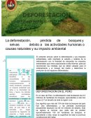 DEFORESTACIÓN LOS PULMONES DEL PLANETA PIDEN AYUDA