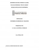 ENFERMERIA EN EMERGENCIAS Y DESASTRES