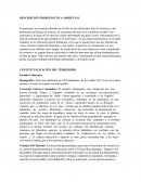 DESCRIPCIÓN PROBLEMÁTICA AMBIENTAL