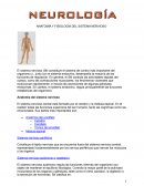 Anatomía y fisiología del sistema nervioso