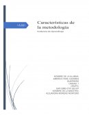 Características de la metodología