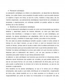 Principios de la Planeación Estratégica