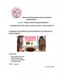 ELABORACION DE TINTE CASERO A BASE DE CANELA Y LIMÓN HUANCAYO