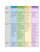 Cuadro comparativo modelo deming