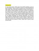 Es malo el abuso de bebidas energizantes