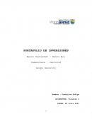PORTAFOLIO DE INVERSIONES