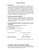 Medio de Defensa