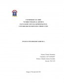 Ensayo Contabilidad Agricola