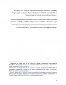Percepción sobre el Impacto Ambiental Residencial en el Sentido de Identidad y Competencia de las Personas Mayores Residentes en el ELEAM Juan Pablo II de la Fundación Hogar de Cristo de la ciudad de Punta Arenas