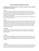 Investigacion del significado de 7 colores