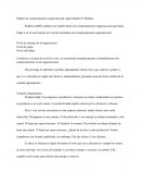 Comparaciond e teorias Chiavenatto y Robbins