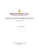 SISTEMA DE GESTION AMBIENTAL (SGMA)