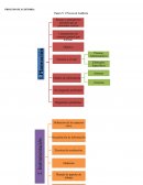 Ensayo de PROCESO DE AUDITORIA