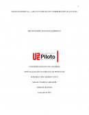 ENSAYO INDIVIDUAL 1. ¿QUÉ ES UN PROYECTO?