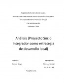 Análisis (Proyecto Socio Integrador como estrategia de desarrollo local)