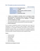 Macroeconomía y medición económica