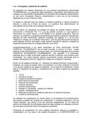 PROGRAMA DE REVISORIA FISCAL DENTRO DEL COTEXTO DEL C.T.C.P