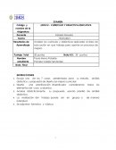 Ensayo curriculum y didactica