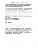 SEGMENTACIÓN DE ZAPATILLAS VANS