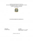 FUNCIÓN DEL DERECHO EN DEMOCRACIA