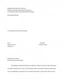 Los problemas del desarrollo humano