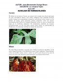 AUXILIAR DE FARMACOLOGÍA