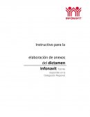 Instructivo para la elaboración de anexos del dictamen Infonavit