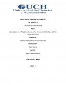 La corrupción en el Programa Vaso de Leche. El caso del distrito San Martín de Porres (2010-2019)