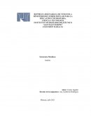 Estructuras metálicas