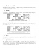Mecanismos de mezclado