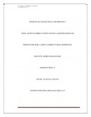 ENSAYO SOBRE EL BUEN USO DE LAS REDES SOCIALES