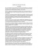 EJEMPLO DE TRIPLE BOTTOM LINE