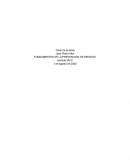 FUNDAMENTOS DE LA PREVENCIÓN DE RIESGOS