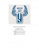 Ensayo del Concurso Mercantil