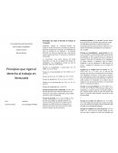 Principios que rigen el derecho al trabajo en Venezuela
