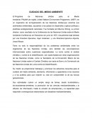 CUIDADO DEL MEDIO AMBIENTE