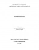 COMPONENTES DE LOS RED Y POSIBILIDADES DE USO