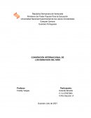 CONVENCIÓN INTERNACIONAL DE LOS DERECHOS DEL NIÑO