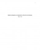 Modelos Contingentes en la Organización y Dirección en las Empresas