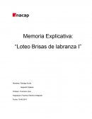 Proyecto Eléctrico Integrado