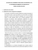 INFLUENCIA DEL INCREMENTO POBLACIONAL EN DESARROLLO DE LA CONTAMINACION AMBIENTAL EN HUANCAVELICA